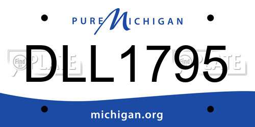DLL1795 Michigan License Plate