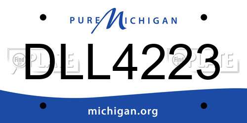 DLL4223 Michigan License Plate