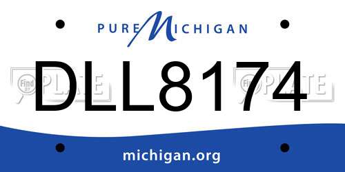 DLL8174 Michigan License Plate