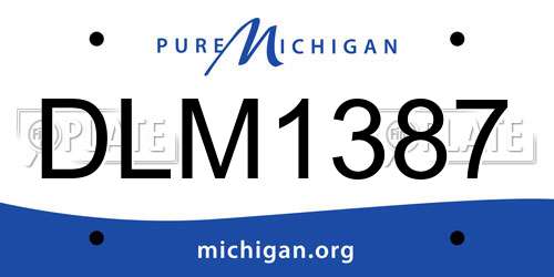 DLM1387 Michigan License Plate