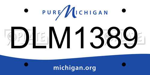 DLM1389 Michigan License Plate