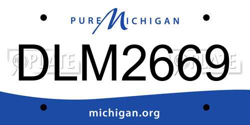 DLM2669 Michigan License Plate