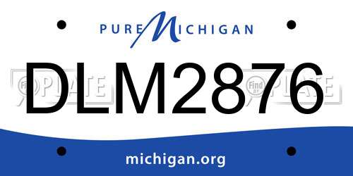 DLM2876 Michigan License Plate