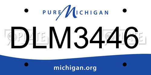 DLM3446 Michigan License Plate