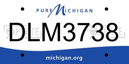 DLM3738 Michigan License Plate