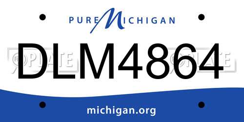 DLM4864 Michigan License Plate