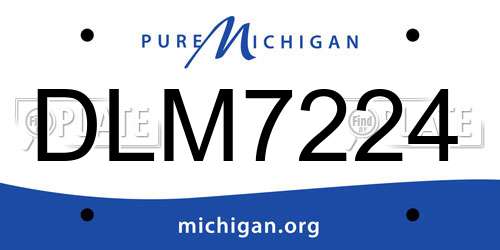 DLM7224 Michigan License Plate