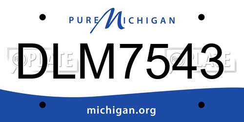 DLM7543 Michigan License Plate