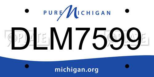 DLM7599 Michigan License Plate