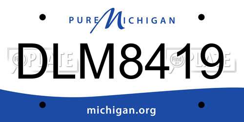 DLM8419 Michigan License Plate
