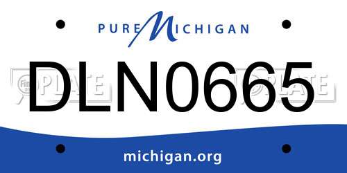 DLN0665 Michigan License Plate