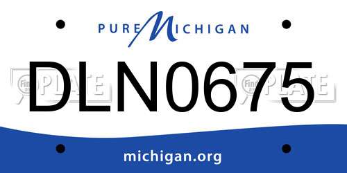 DLN0675 Michigan License Plate