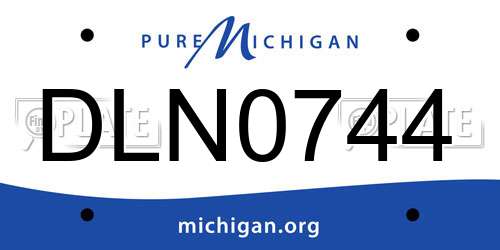 DLN0744 Michigan License Plate