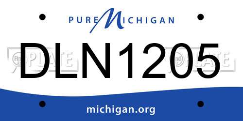 DLN1205 Michigan License Plate