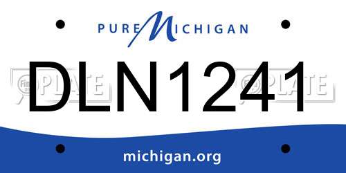 DLN1241 Michigan License Plate