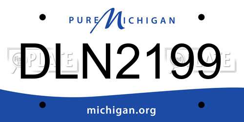 DLN2199 Michigan License Plate