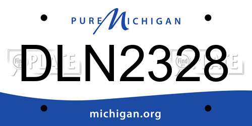 DLN2328 Michigan License Plate