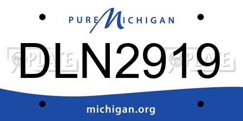 DLN2919 Michigan License Plate