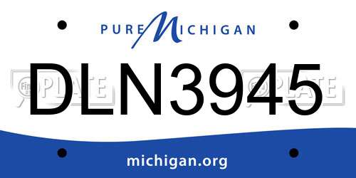 DLN3945 Michigan License Plate