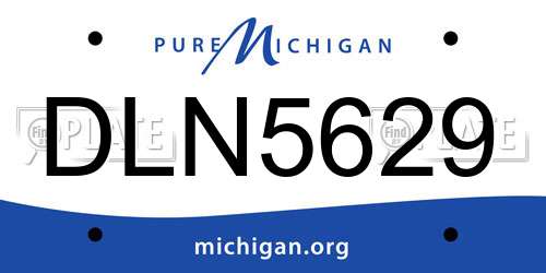 DLN5629 Michigan License Plate