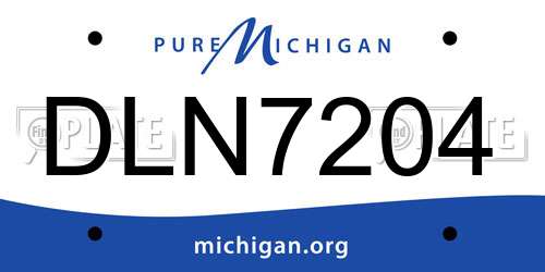 DLN7204 Michigan License Plate
