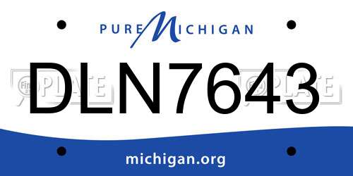 DLN7643 Michigan License Plate