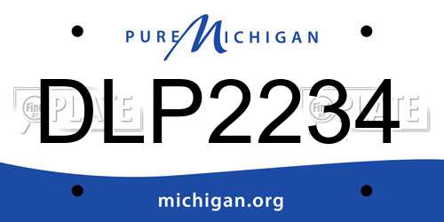 DLP2234 Michigan License Plate