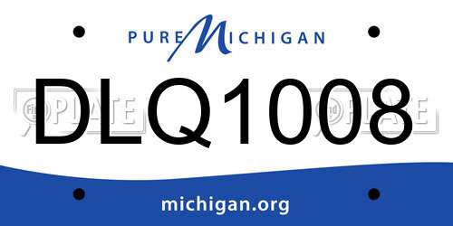 DLQ1008 Michigan License Plate