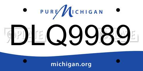 DLQ9989 Michigan License Plate