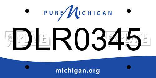 DLR0345 Michigan License Plate