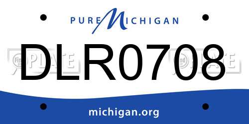 DLR0708 Michigan License Plate