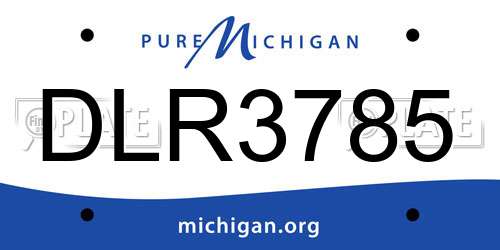 DLR3785 Michigan License Plate