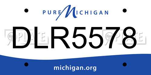 DLR5578 Michigan License Plate