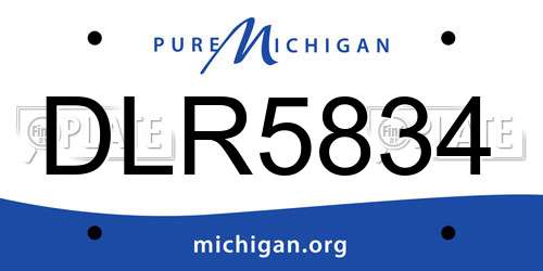 DLR5834 Michigan License Plate