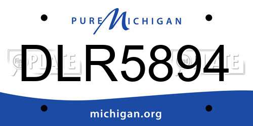 DLR5894 Michigan License Plate