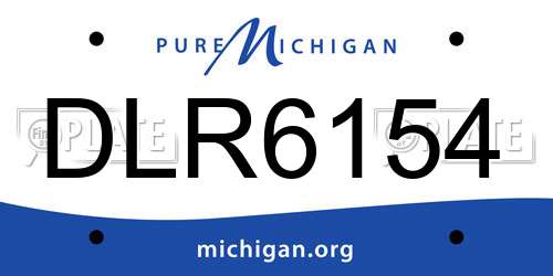 DLR6154 Michigan License Plate