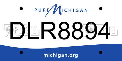DLR8894 Michigan License Plate