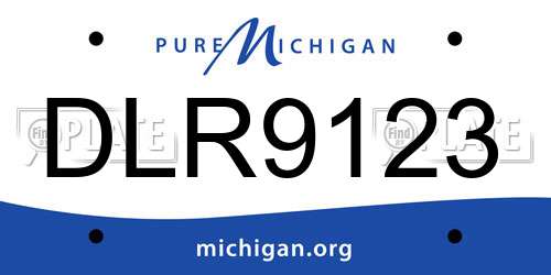 DLR9123 Michigan License Plate