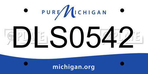 DLS0542 Michigan License Plate