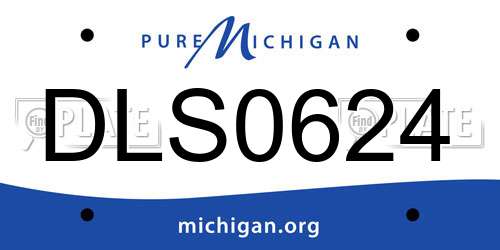 DLS0624 Michigan License Plate