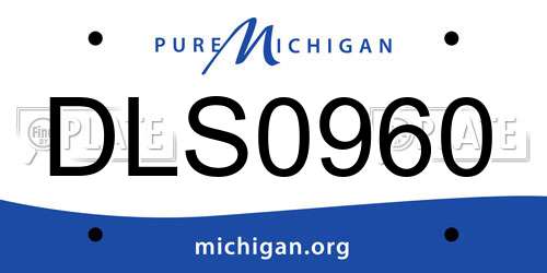 DLS0960 Michigan License Plate
