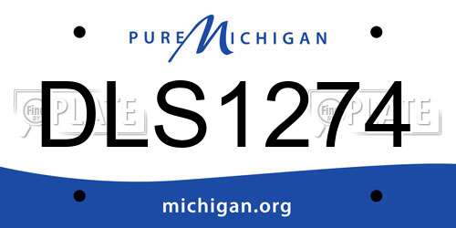 DLS1274 Michigan License Plate