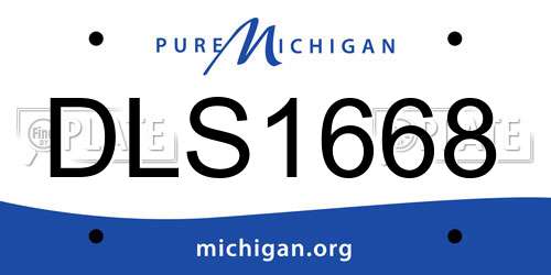 DLS1668 Michigan License Plate