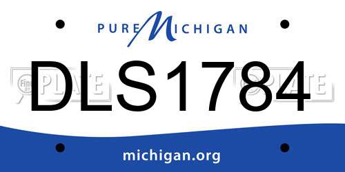DLS1784 Michigan License Plate