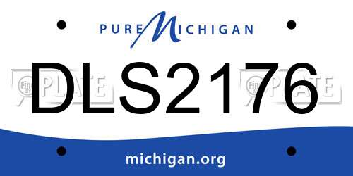 DLS2176 Michigan License Plate