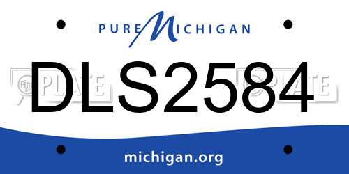 DLS2584 Michigan License Plate