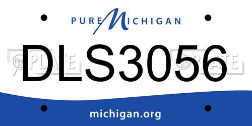 DLS3056 Michigan License Plate