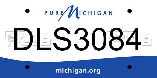 DLS3084 Michigan License Plate