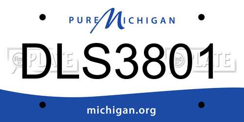DLS3801 Michigan License Plate