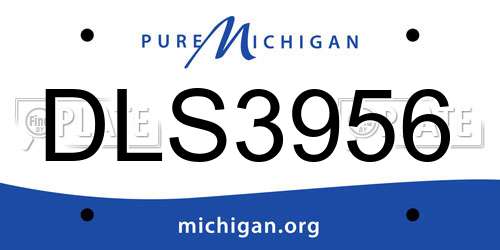 DLS3956 Michigan License Plate